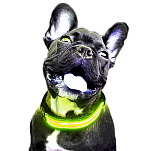 Freedog CC4031 LED Battery Воротник Желтый  Yellow L