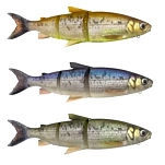 Savage gear 1624990 Мягкий приманка 3D Line Thru Whitefish 107g 220 mm Brown Chartreuse 13x21x38
