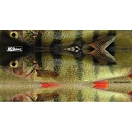 Купить Jigskinz jzrlpr-s4 Наклейка Real Life Perch Multicolor 25x15x2 140 x 70 mm 7ft.ru в интернет магазине Семь Футов
