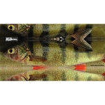 Jigskinz jzrlpr-s4 Наклейка Real Life Perch Multicolor 25x15x2 140 x 70 mm