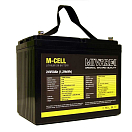Купить Mivardi M-MCELL2450C M-Cell 24V 50A+10A Charger Литиевая батарейка Золотистый 7ft.ru в интернет магазине Семь Футов