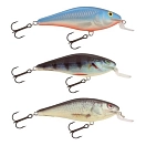 Купить Salmo 84597-9a9 Crankbait Executor 9g 70 mm VIK 10x7x5 7ft.ru в интернет магазине Семь Футов