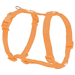 Freedog 10032002 Nylon Basic Обуздать Оранжевый Orange 20 mm x 51-70 cm