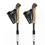 Gabel 700935139 столбы Nordic Revo A1 Многоцветный Black 52-130 cm
