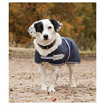 Waldhausen 8018105-055 Outdoor Comfort Line 200g Куртка для собак Белая Navy / White 55 cm Hunt