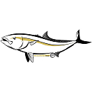 Купить Hotspot design 011002499 Sticker Amberjack Белая  White 60x25 cm  7ft.ru в интернет магазине Семь Футов