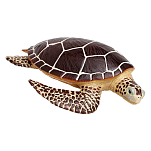 Safari ltd S260429 Sea Turtle Фигура Коричневый  Brown From 3 Years 