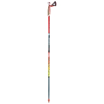 Tsl outdoor PFBTC4M125SHF трости Trail Carbon 4 Многоцветный Fire 125 cm