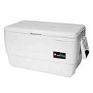Купить Igloo coolers 18-44679 UltraTherm 34L Изолированный холодильник Белая 34 Liters  7ft.ru в интернет магазине Семь Футов