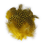 Baetis GBM006/WA Guinea Перо птицы Желтый  Yellow