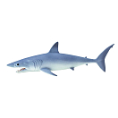 Купить Safari ltd S201929 Mako Shark Фигура Белая  Blue From 3 Years  7ft.ru в интернет магазине Семь Футов