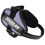 Julius k-9 16IDC-PR-MM IDC® Power Mini Обуздать Фиолетовый Purple Mini-Mini