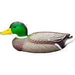 Edm 6099 Заявление об охоте на утку с зеленой шеей Зеленый Grey / Green