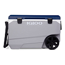 Купить Igloo coolers 34818 Maxcold Latitude 90 Roller 85L Кулер Бесцветный Grey 7ft.ru в интернет магазине Семь Футов