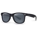 Купить Fox rage nsn016 поляризованные солнцезащитные очки Matt Black Grey 20x10x10 7ft.ru в интернет магазине Семь Футов