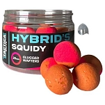 Tactica baits sq13-unit Hookbaits Hybrid´s Squidy 150ml 20x10x10 20 mm