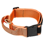 Julius k-9 200HA-K-PN-2024 ошейник для собак Collar 50 mm Orange 50 mm