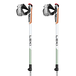 Leki 65326141-100/130 Spin Shark SL Поляки Серебристый  Grey / Green / White 100-130 cm