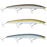 Daiwa 16711823 Minnow Tournament Shiner Sinking 30.5g 170 mm  Live Oonago