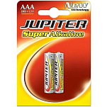 Jupiter 221521 АааЛр V 031.5 V 2 единицы Батареи Multicolor