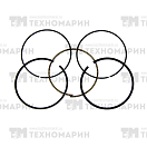 Купить Поршневые кольца BRP 600/900 ACE (номинал) 010-964 WSM 7ft.ru в интернет магазине Семь Футов