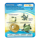 Купить Safari ltd S662316 Life Cycle Of A Green Sea Turtle Фигура Многоцветный Multicolor From 3 Years  7ft.ru в интернет магазине Семь Футов