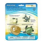 Safari ltd S662316 Life Cycle Of A Green Sea Turtle Фигура Многоцветный Multicolor From 3 Years 