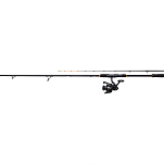 PENN 1581277 Wrath II Boat Squid Комбо для яиц Серебристый Black 2.13 m