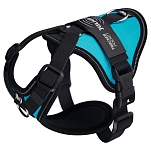 Julius k-9 LWH-LGHT-AM-L собачья шлейка Longwalk Light  Aquamarine L