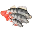 Купить Fox rage nre505-unit Мягкий приманка Ultra-Realistic Pike Replicant 52g 140 mm 15x10x5 7ft.ru в интернет магазине Семь Футов