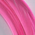 Flybox GB-123-UNIT Перо Goose Biots  Fluo Pink