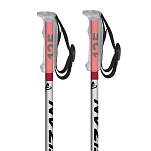 Fizan FZW235330-110 трости Active Rental  Grey 110 cm