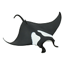 Купить Safari ltd S211402 Manta Ray 2 Фигура Черный  Black / White From 3 Years  7ft.ru в интернет магазине Семь Футов