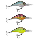 Купить Berkley 1550569 Земснаряд Crankbait 65 Mm 17.5g Многоцветный Red Tiger 7ft.ru в интернет магазине Семь Футов