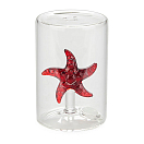 Купить Balvi 27610 Atlantis Солонка Морская звезда Бесцветный Starfish 7ft.ru в интернет магазине Семь Футов