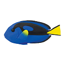 Купить Safari ltd S100039 Blue Tang Фигура Голубой  Blue From 3 Years  7ft.ru в интернет магазине Семь Футов