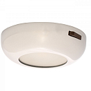 ASTERION B LED потолочный светильник / с выключателем