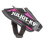 Julius k-9 16IDC-DPN-B2 IDC® Power Baby Обуздать Голубой Fuchsia Baby 2