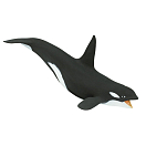 Купить Safari ltd S275129 Orca 2 Фигура Черный  Black / White From 3 Years  7ft.ru в интернет магазине Семь Футов