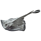 Купить Safari ltd S100507 Sting Ray Фигура Серый  Grey From 3 Years  7ft.ru в интернет магазине Семь Футов