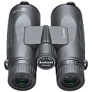 Купить Bushnell BPR1250 Prime 12x50 Бинокль Черный  Black 7ft.ru в интернет магазине Семь Футов