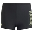 Купить adidas ik9654/164 Плавки-боксеры Logo Black / Green Spark 20x17x4 13-14 Years 7ft.ru в интернет магазине Семь Футов