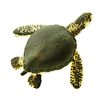 Safari ltd S345322 Sea Turtles Good Luck Minis Фигура Зеленый Olive Green / Yellow From 3 Years 
