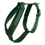 Kentucky 42640-74-XXS Active Бархатный ремень  Pine Green 14-22 cm