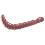 Herakles ARHKLS04 Мягкий приманка Rotor Worm 28 mm  Bug
