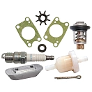 Купить Recmar REC06211-ZV1-505 комплект для обслуживания Honda ZV1-505 Серебристый Multicolour 7ft.ru в интернет магазине Семь Футов