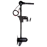 Fox international CEN010 12 V BL Черный  Black