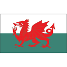 Купить Флаг Уэльса гостевой Lalizas 11085 45 x 90 см 7ft.ru в интернет магазине Семь Футов
