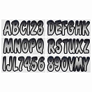 Купить Trac outdoors 328-SIBKG200 Series 200 Регистрационное письмо Серый Silver / Black 7ft.ru в интернет магазине Семь Футов