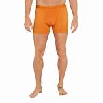 Icebreaker 10302901KM трусы-боксёры Merino 150 Anatomica Ray M